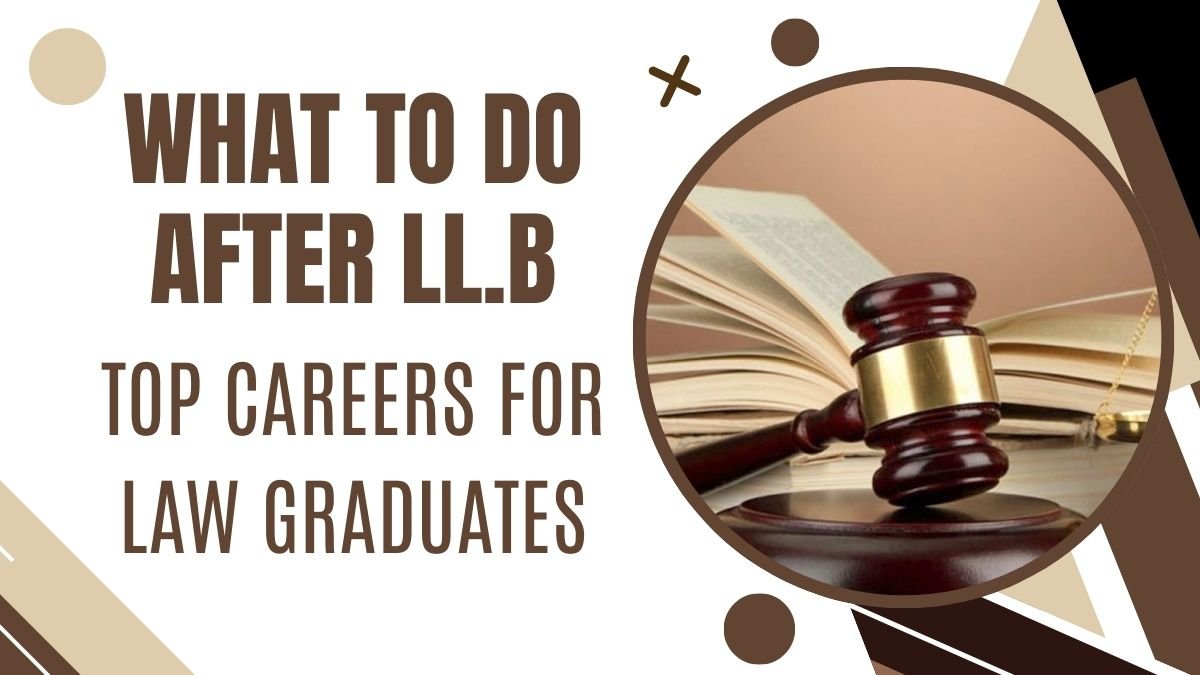 Top Careers for Law Graduates